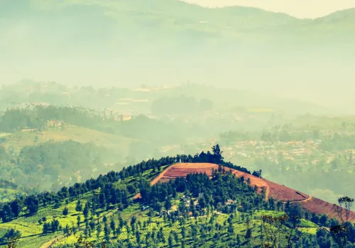 3 Days Ooty Tour Package from Mysore