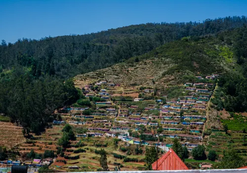 Bangalore to Mysore Ooty Tour