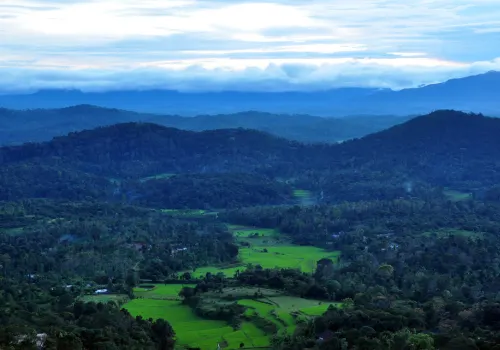 Ooty Coorg Tour Packages