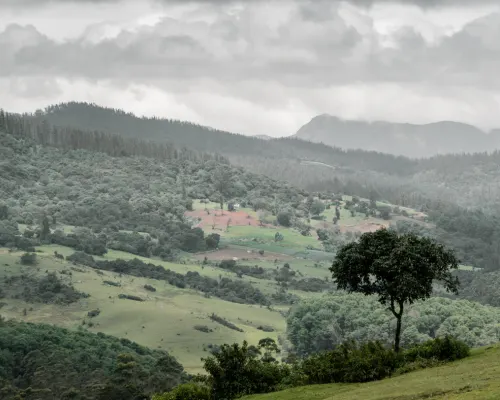 Kodaikanal Ooty Tour Package 5 Days