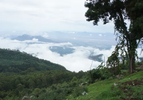 Ooty Kodaikanal Tour Package - 4 Days