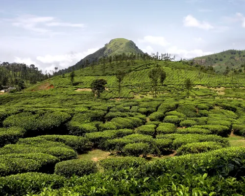 Ooty Tour Package 2 Days