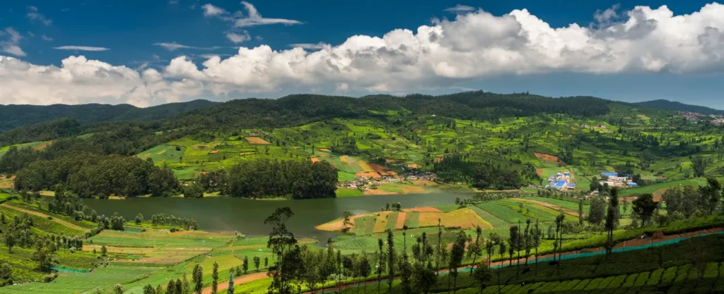 Ooty Tour Packages