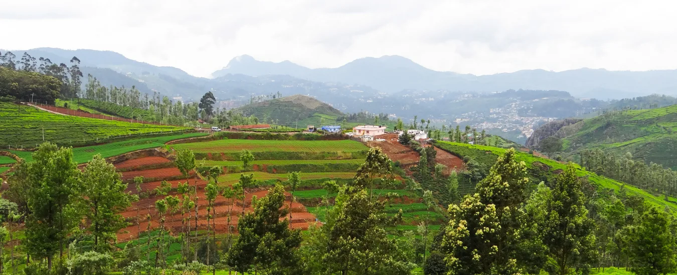 4 Days Ooty Kodaikanal Tour Package