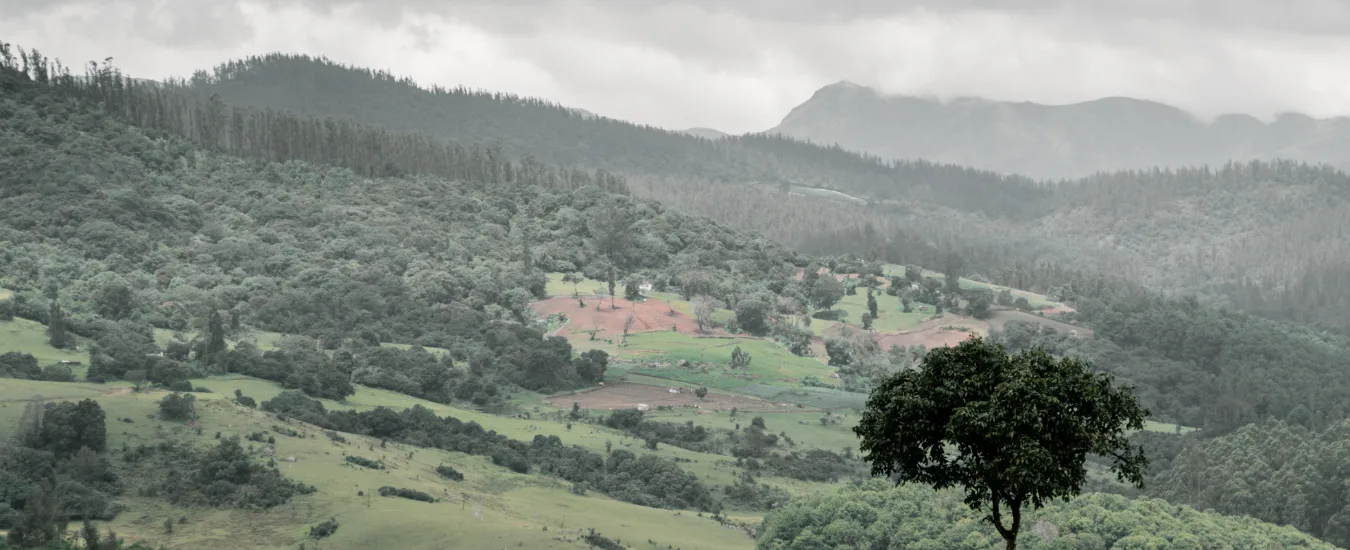 5 Days​ Kodaikanal Ooty Tour Package