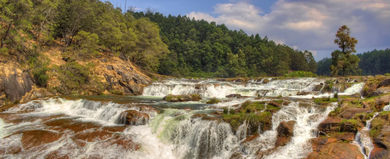 6 Days Ooty Tour Package for Couple​
