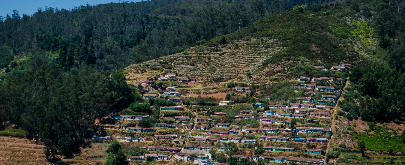 Bangalore to Mysore Ooty Tour Package​