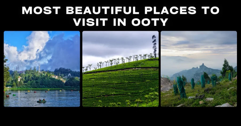 Most Beautiful Places to Visit in Ooty