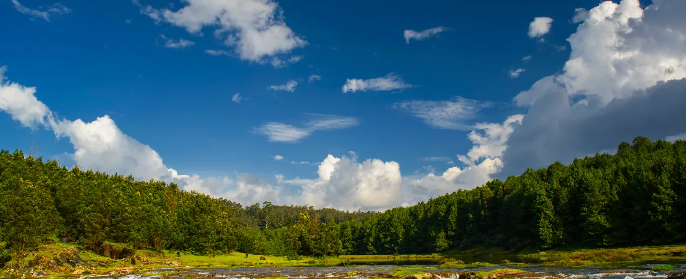 Mysore Coorg Ooty Tour Package