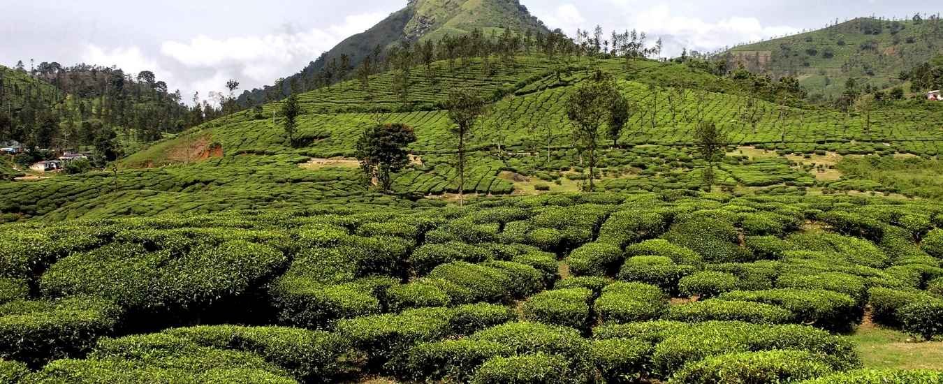 Ooty Tour Package 2 Days