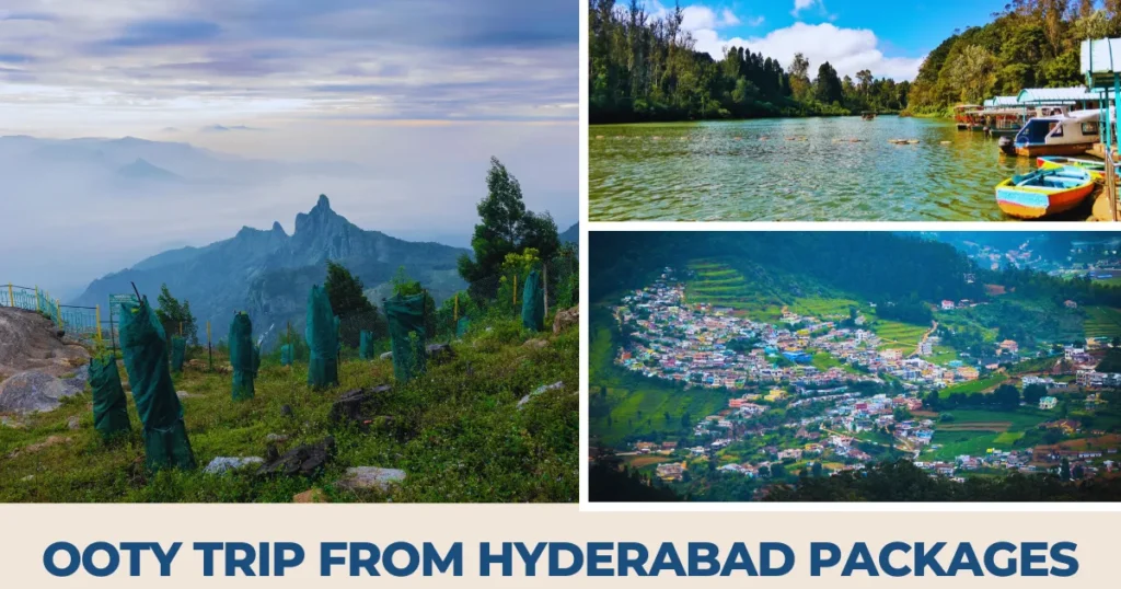 Ooty Trip from Hyderabad Packages
