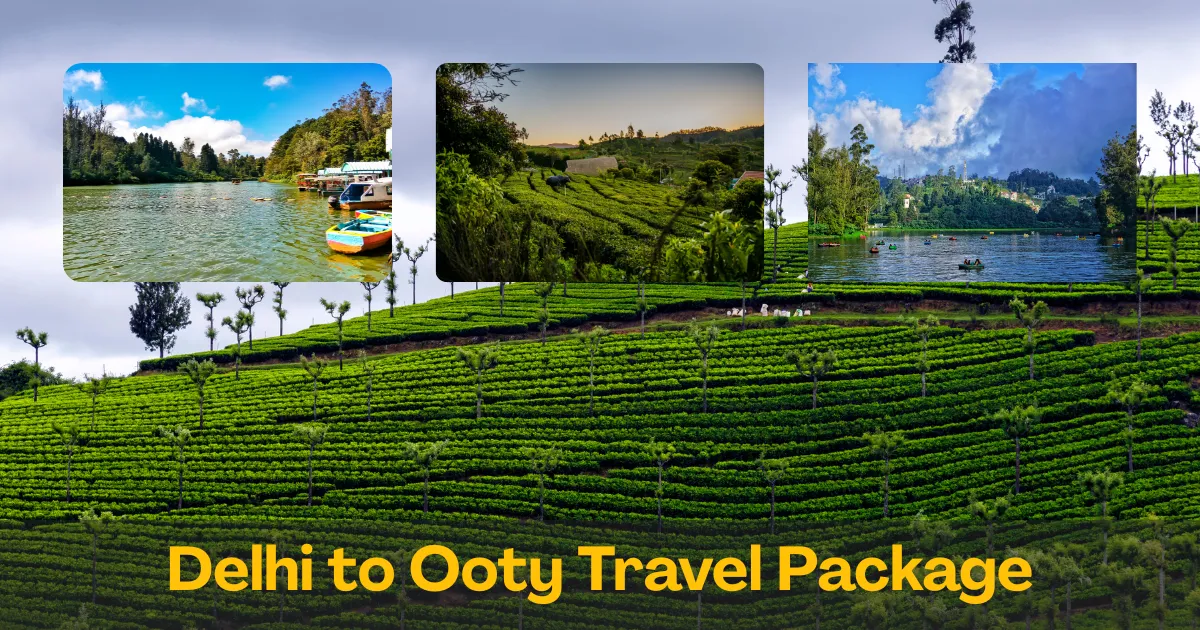 Delhi to Ooty Travel Package