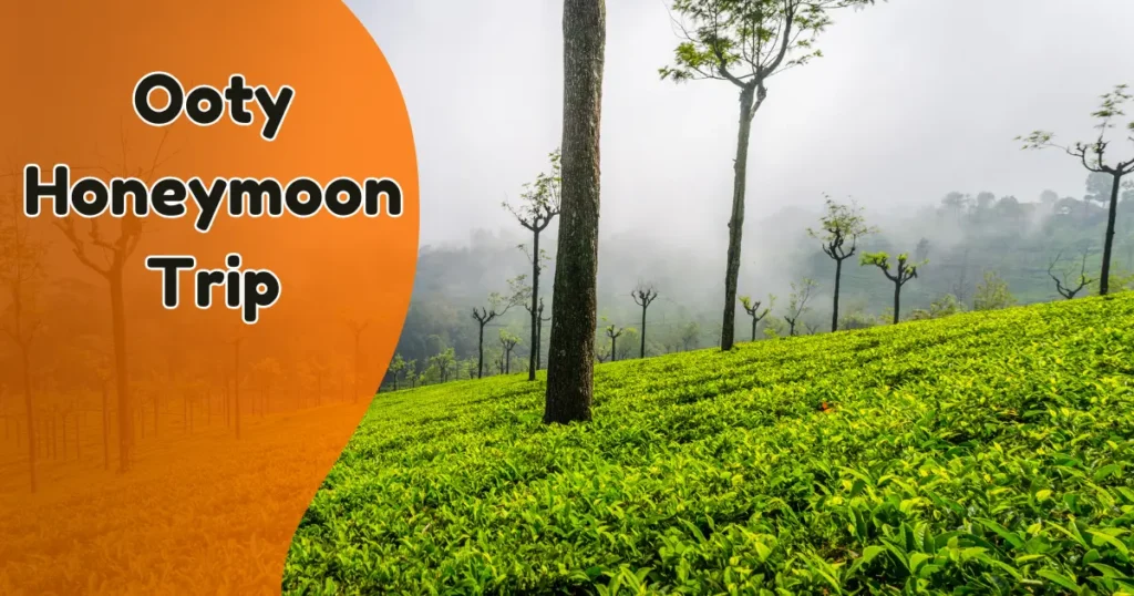 Ooty Honeymoon Trip