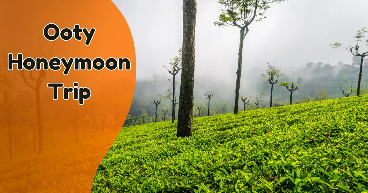Ooty Honeymoon Trip
