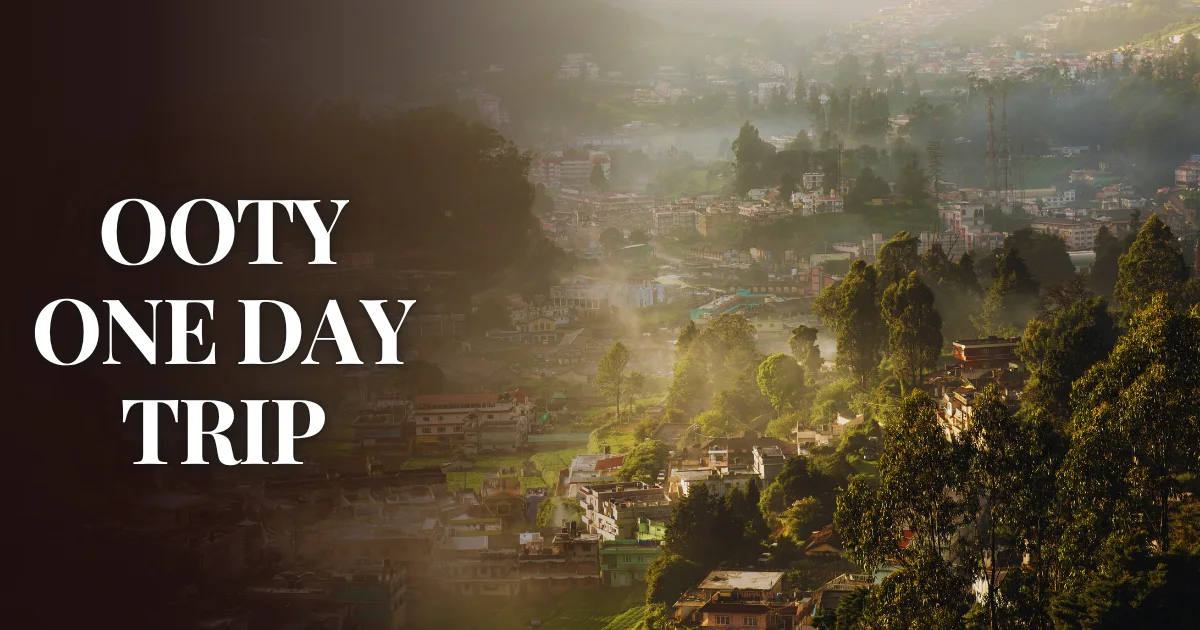 Ooty Sightseeing in One Day
