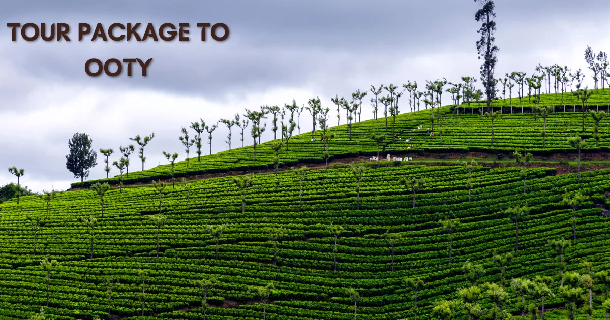 Tour Package to Ooty