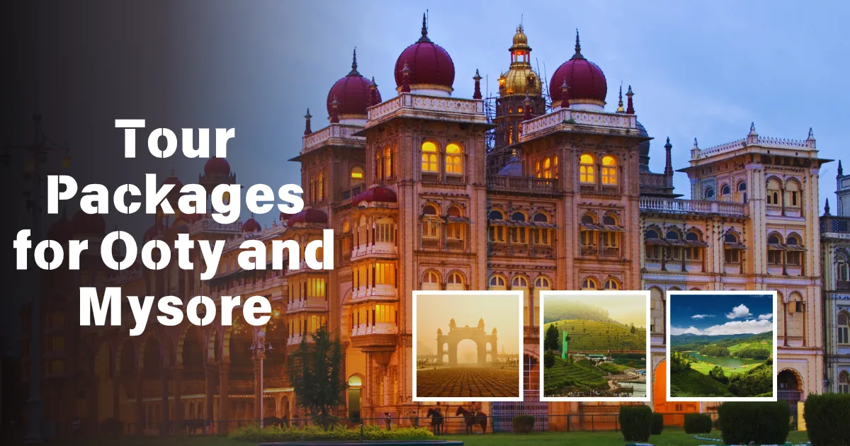 Tour Packages for Ooty and Mysore